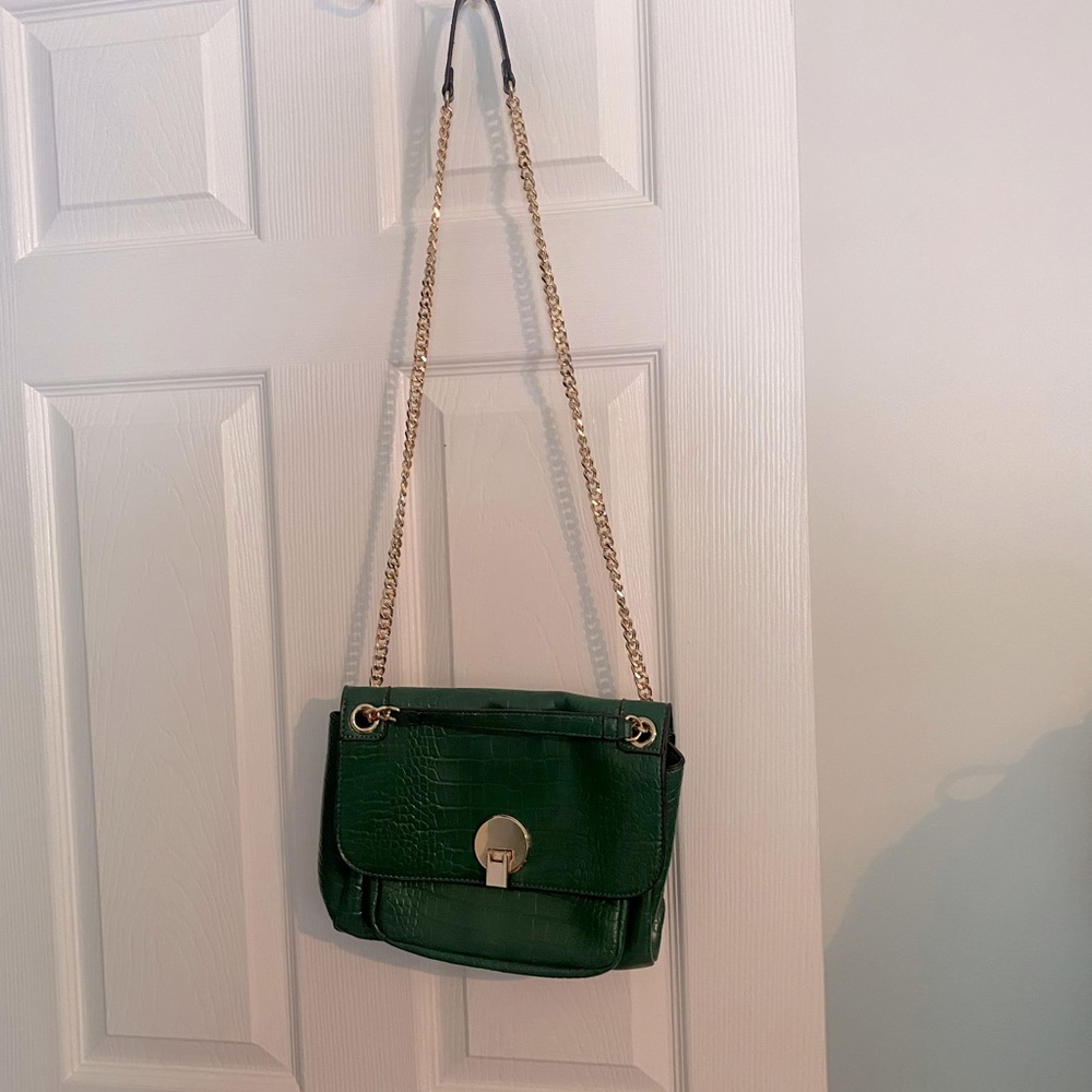 Just Fab gold and green croc style purse